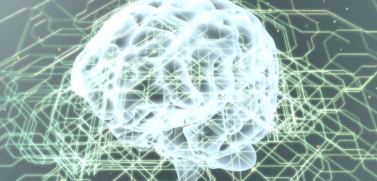 Cg制作 株式会社フィジカルアイ ページ 13 イメージを創造する3dcg制作