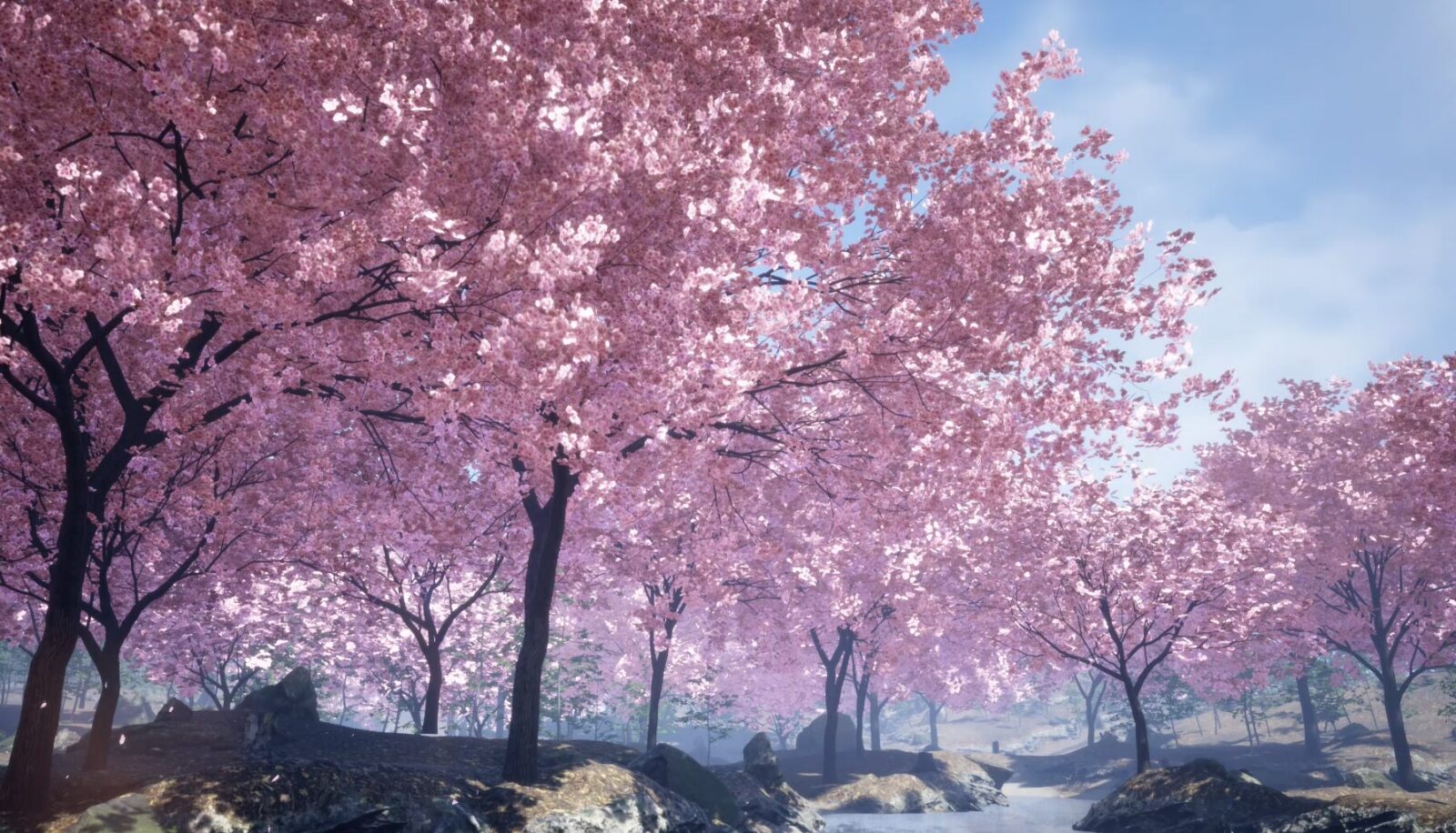 桜の3dcgイメージ動画 定点 ウォークスルー 株式会社フィジカルアイ