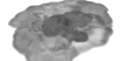 フリー素材 株式会社フィジカルアイ