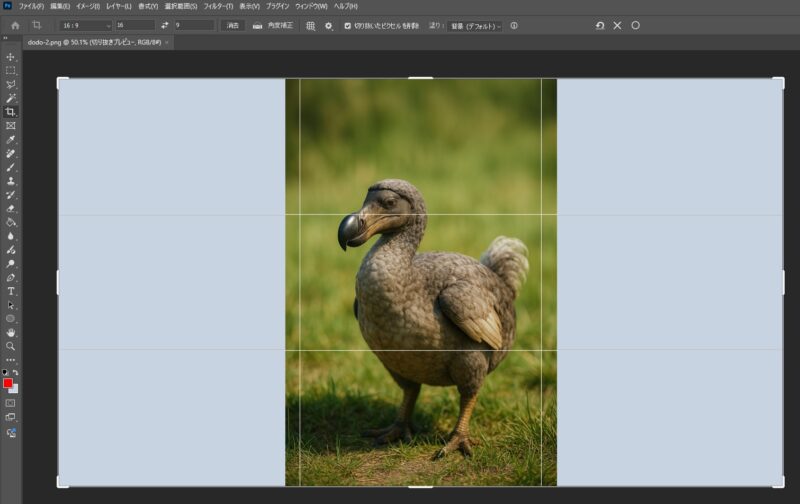 photoshop調整画面