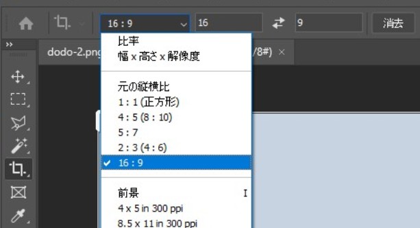 縦横比