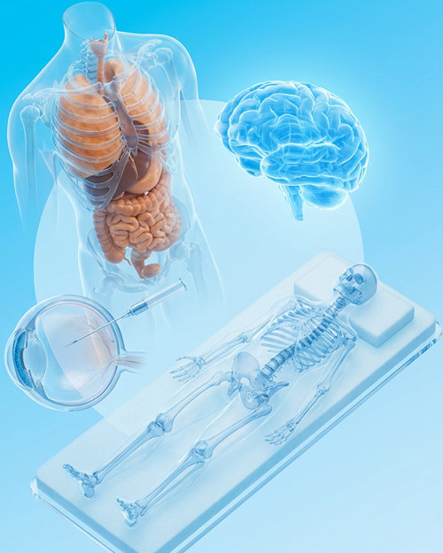 3DCG制作のフィジカルアイ 5 482a70af 0891 4901 9483 5d3939f33867