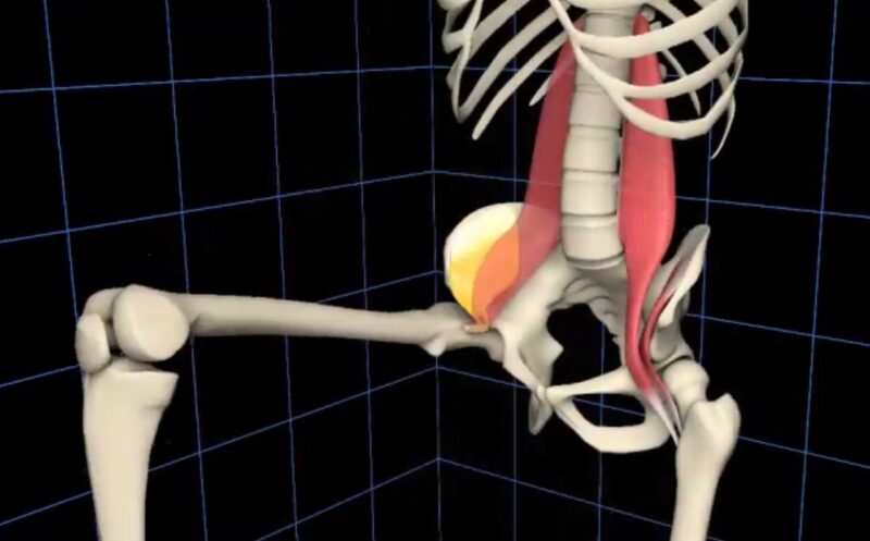 ヘルスケア・美容商品のプロモーション映像に3DCGが選ばれる理由|コスト・納期の疑問にも答えます 3 SC2026321133950